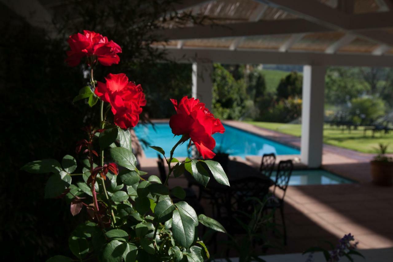Sanddrif Stellenbosch Guest Farm מראה חיצוני תמונה